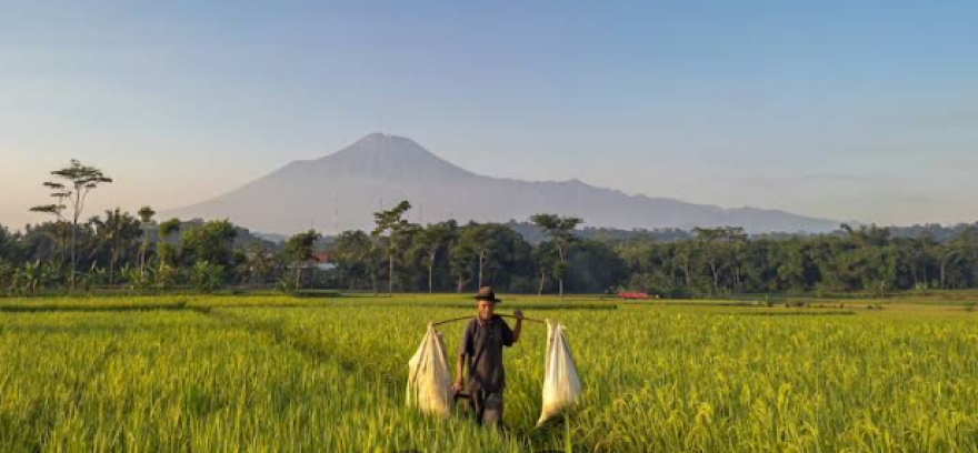 Potensi Desa Dukuhbangsa